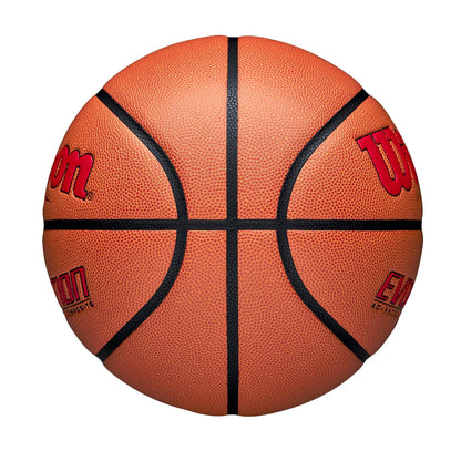 Wilson Evolution Basketballs